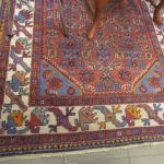 711 8236 ORIENTAL RUG